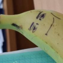 Панченко София Денисовна