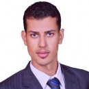 Abdelhamid Mahmoud Abdelhamid Abdeltawab